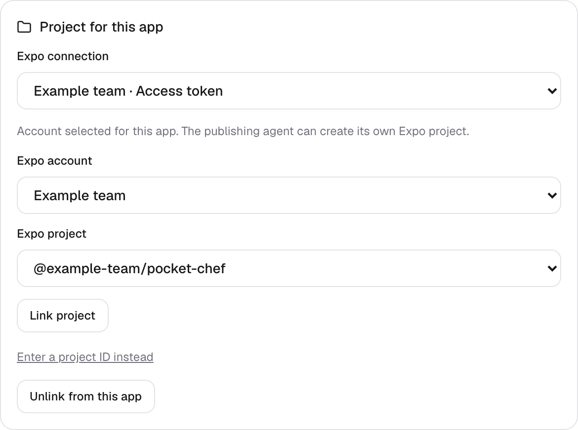 Project for this app shows an Expo connection, Expo account and Expo project selection, with Link project. The example project is @example-team/pocket-chef; no real account was linked.